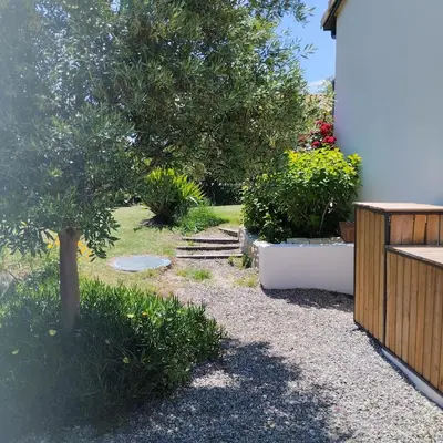 a garden with a tree and some bushes at Le Logis de la Voie Verte in Saint-Amadou