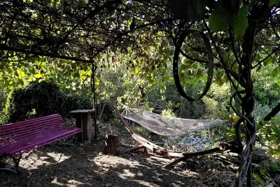 a hammock sitting under a tree next to a bench at La Terrasse aux citronniers in Saint-Vincent