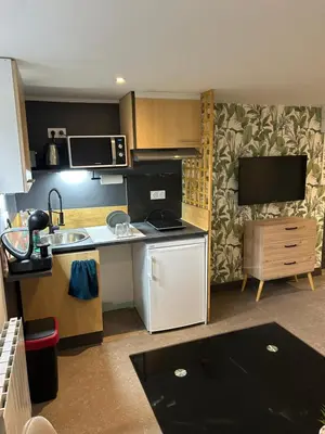 a small kitchen with a sink and a refrigerator at Chambre Studio B&B in Mazamet