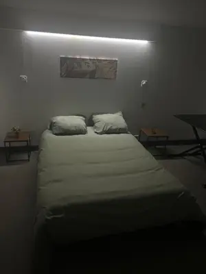 a bed with two pillows in a room at Chambre Studio B&B in Mazamet