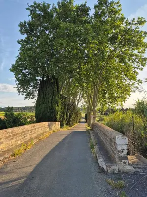 a road with trees on the side of a wall at Le Gîte du Parc in Roubia