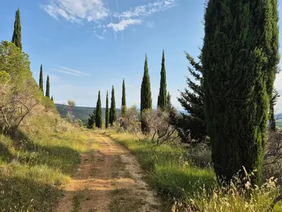 a dirt road with trees on the side of a field at Le Gîte du Parc in Roubia