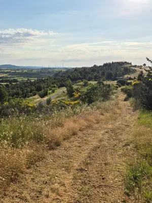 a dirt road in the middle of a field at Le Gîte du Parc in Roubia
