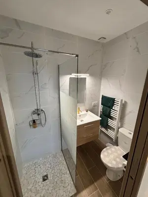 a bathroom with a shower and a toilet and a sink at La Jade in Narbonne