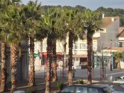 a group of palm trees in front of a building at Au cœur du village de Gruissan in Gruissan