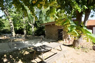 a picnic table sitting under a tree in a park at La Résidence du Château de Jouarres in Azille