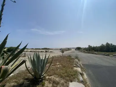 an empty road with a cactus on the side of the road at Appartement 2 pièces - Port la Nouvelle PN010-18 in Port-la-Nouvelle