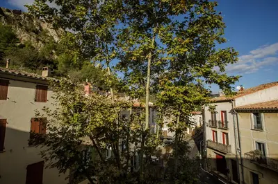 a tree in front of two buildings and a street at Ostal de la placette in Padern