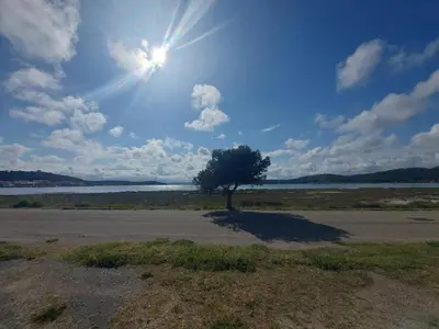 a tree in the middle of a field with the sun at Apartment T2 Gruissan in Gruissan