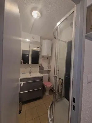 a bathroom with a shower and a sink and a toilet at Apartment T2 Gruissan in Gruissan