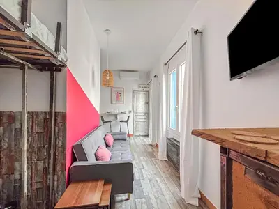 a living room with a couch and a tv at Studio Avec SPA et Clim Proche Centre in Carcassonne
