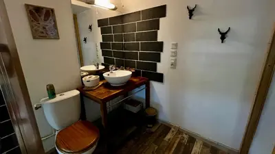 a bathroom with a sink and a toilet and a mirror at Appartement style chalet proche Cité Carcassonne & lac de la Cavayère in Trèbes