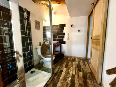 a bathroom with a toilet and a glass shower at Appartement style chalet proche Cité Carcassonne & lac de la Cavayère in Trèbes