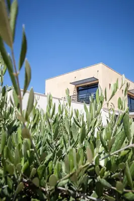 a building with a window behind a tree at Gîte au cœur des vignes, vue sur le Minervois in Bize-Minervois
