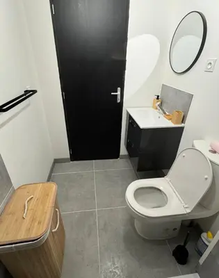 a bathroom with a toilet and a sink and a mirror at La perle centrale - Studio in Limoux