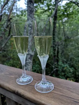 two glasses of wine sitting on a wooden table at Cabane d'Oniria in Palaja