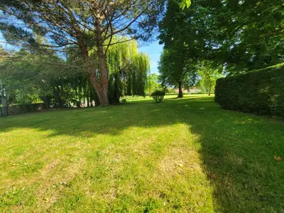 a grassy field with a tree in the distance at maison de campagne in Le Vernet