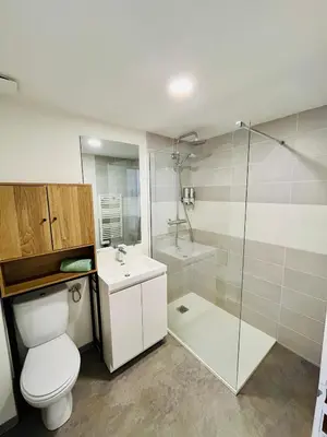 a bathroom with a toilet and a shower and a sink at L'escale cocoon - cozy and relaxing in Villefranche-de-Lauragais