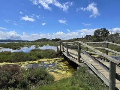 a wooden bridge over a body of water at Maison bleu avec vue mer, étang & Pyrénées in Bages