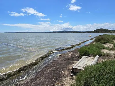 a bench sitting on the shore of a body of water at Maison bleu avec vue mer, étang & Pyrénées in Bages