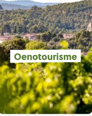 a screenshot of a webpage with a picture of a river at L'Enclos de Nathalie et Jacques in Rieux-Minervois