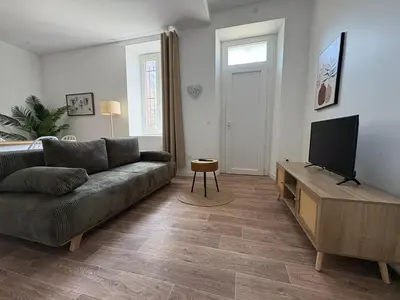 a living room with a couch and a flat screen tv at Albert I Ground floor l Terrace l Garden l Air conditioning in Castres