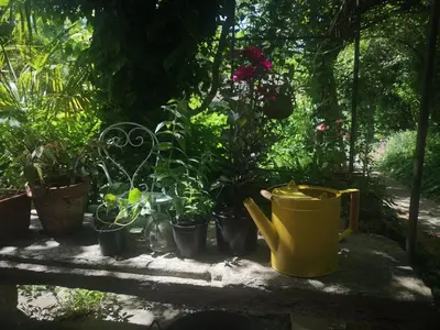 a yellow watering can sitting next to potted plants at Une chambre au jardin in Saint-Pons-de-Thomières