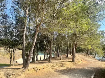 a group of trees in a park next to a body of water at The Artist's House Limoux in Limoux