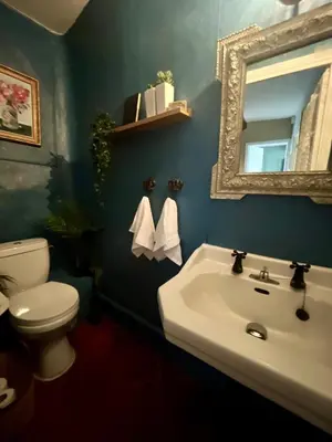 a bathroom with a sink and a toilet and a mirror at The Artist's House Limoux in Limoux