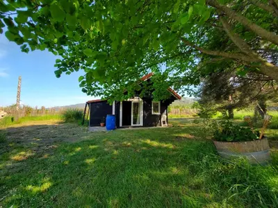 an old shed in a field with a tree at Le Chalet du Grain d'Orient in Caudiès-de-Fenouillèdes