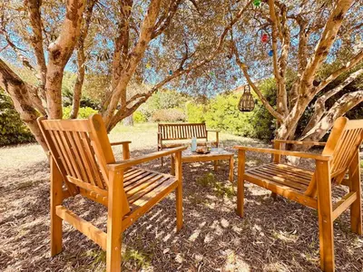 three wooden chairs and a table under a tree at Maison entière tout confort pour 7 personnes in Bize-Minervois
