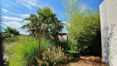 a garden with a palm tree and some plants at Havre de paix avec piscine et jacuzzi Narbonne in Ventenac en Minervois