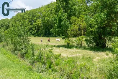 three animals grazing in a field with trees at Séjour détente avec spa, piscine et sauna in Mas-Saintes-Puelles
