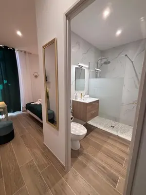 a bathroom with a toilet and a sink and a mirror at L'Emeraude in Narbonne