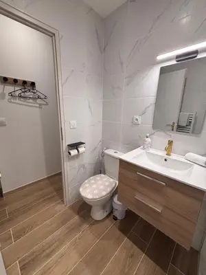 a bathroom with a toilet and a sink and a mirror at L'Emeraude in Narbonne