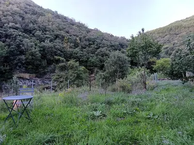 a picnic table in a field with a mountain at Chambre et b&b in Miraval-Cabardès