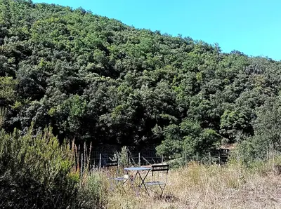 a picnic table in a field in front of a mountain at Chambre b&b in Miraval-Cabardès