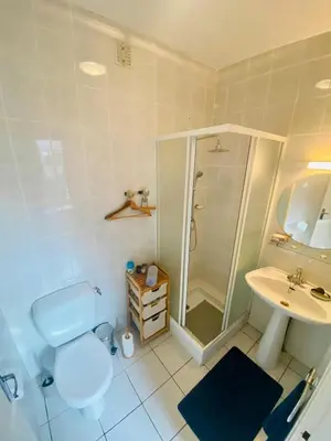 a bathroom with a toilet and a shower and a sink at Peaceful Gite By The Black Mountain in Caunes-Minervois