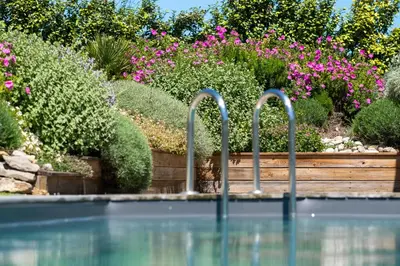 a swimming pool with a garden with pink flowers at Chambre d'Hôtes - B&B La Moneze Basse in Limoux