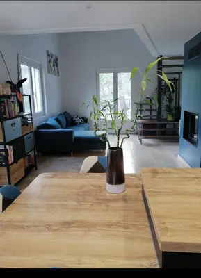 a living room with a table with a potted plant on it at Maison dans les Corbières in Montséret