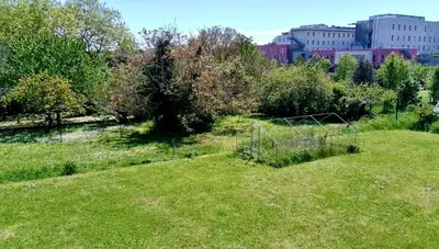 a grassy field with a soccer goal in a city at LE HAVRE D'ATHENA - Grand appart, jardin privé, abri vélos & accès rapide A61 in Castelnaudary
