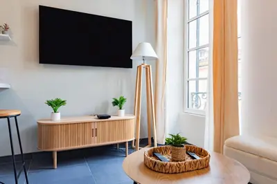 a living room with a flat screen tv on a wall at Plein centre - climatisé - à proximité cité médiévale in Carcassonne