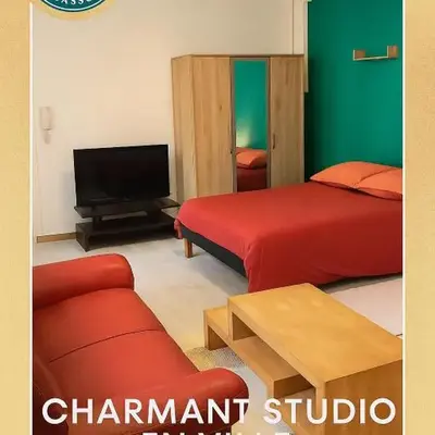 Carcassonne Studio