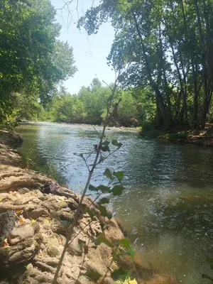 a river with trees on the side of it at La paillote , confort toutes saisons in Moussan
