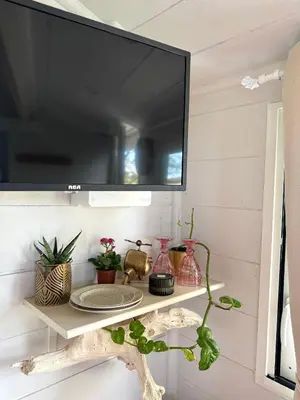 a tv on a wall with a shelf with plants at La paillote , confort toutes saisons in Moussan