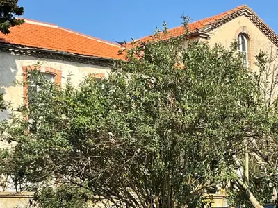 a tree in front of a building with an orange roof at Domaine du BaRon in Alzonne
