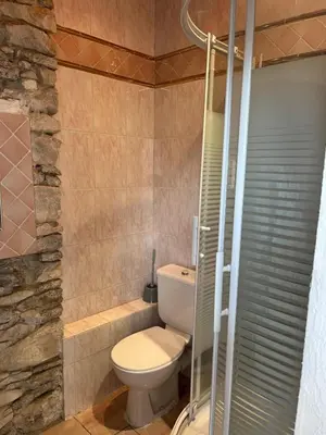 a bathroom with a toilet and a shower at Domaine du BaRon in Alzonne
