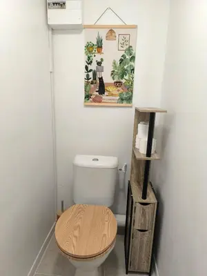 a bathroom with a toilet and a picture on the wall at Bel Appartement Terracotta au cœur de Narbonne in Narbonne