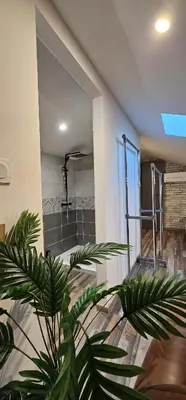 a plant in front of a bathroom with a shower at Charmante maison industriel au coeur du village in Vinassan