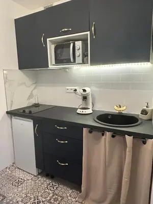 a small kitchen with a sink and a microwave at La Maison de Valerie Feng Shui in La Livinière